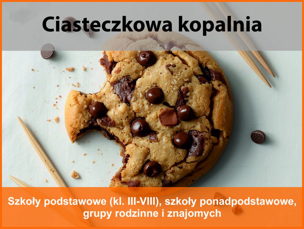 Kruche ciastko z kawałkami czekolady.
