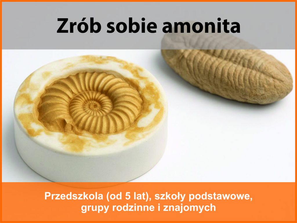 Gipsowa kopia amonita znajduje się w silikonowej formie. Obok leży gipsowa kopia trylobita.