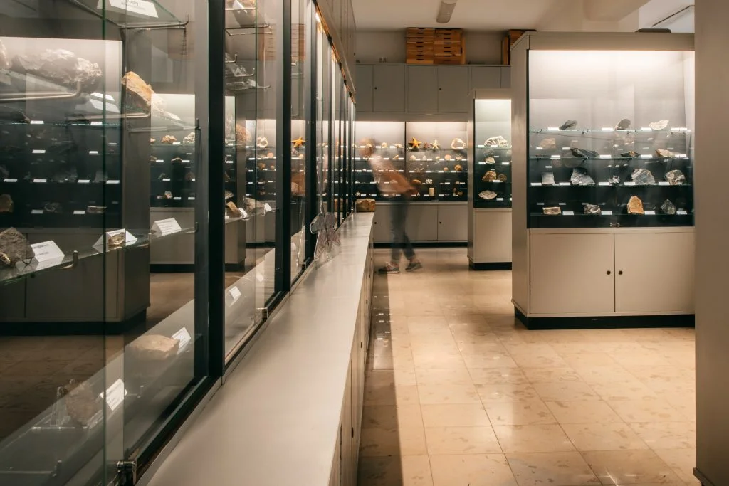 Wnętrze Muzeum Geologicznego